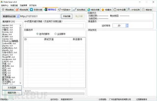 北極熊掃描器4.4企業(yè)版 網絡與信息安全軟件的創(chuàng)新突破
